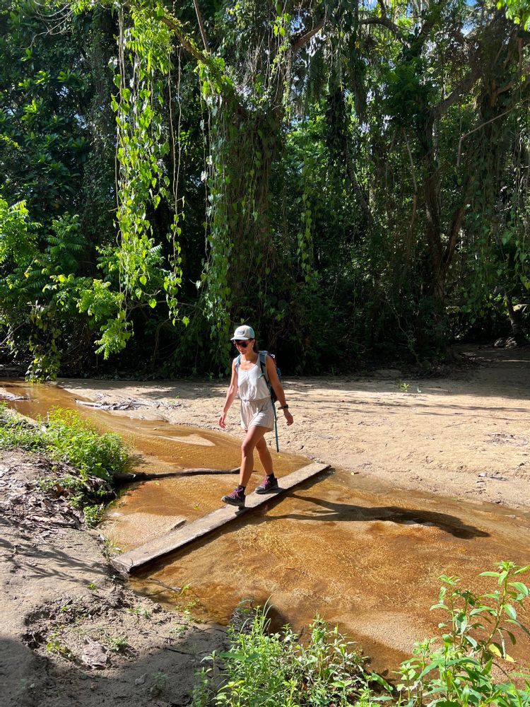 Parc National Tayrona Colombie guide complet itinéraire plus belles plages randonnée