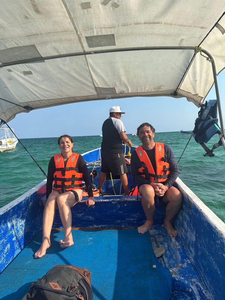 bateau tortue playa del carmen yucatan mexique