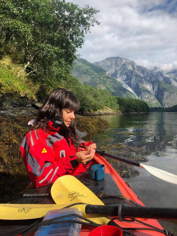 Road-trip Norvège entre Bergen et Stavanger itinéraire - kayak dans les fjords