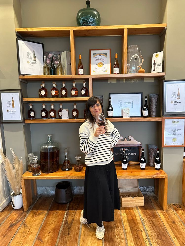 RE BODEGAS CHILE CHILI Casablanca