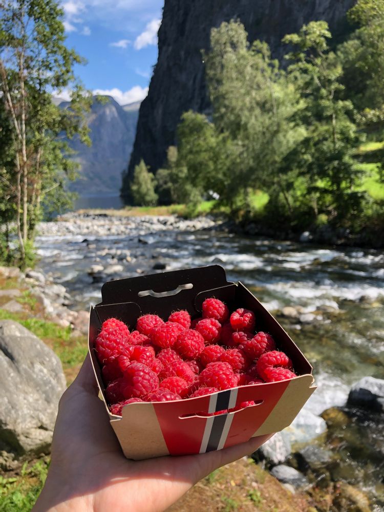 Road-trip Norvège entre Bergen et Stavanger itinéraire - Undredal