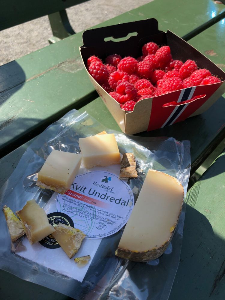 Undredal Kvit Fromage de chèvre Norvège