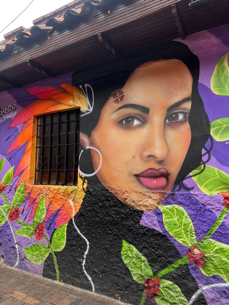 Street art Bogota Colombie