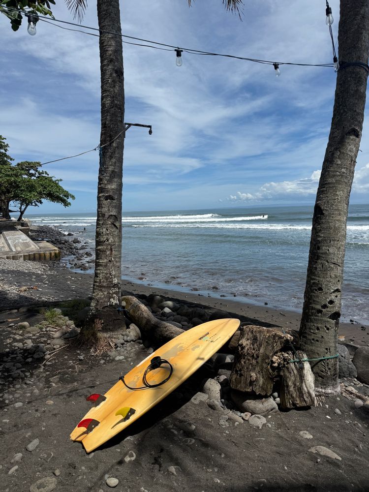 Surf Canggu Bali