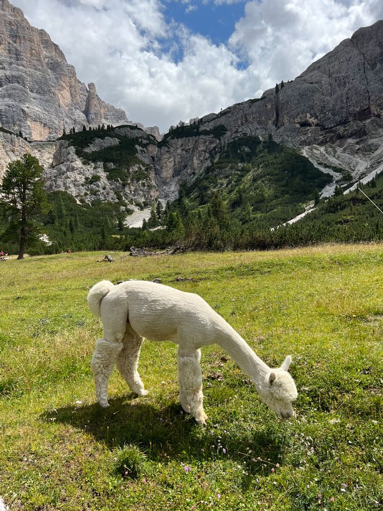 Lago di Lagazuoi Refuge Scotoni Dolomites