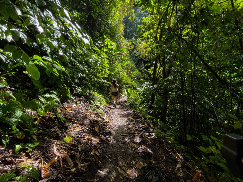 Prêcheur Grand Rivière randonnée Martinique