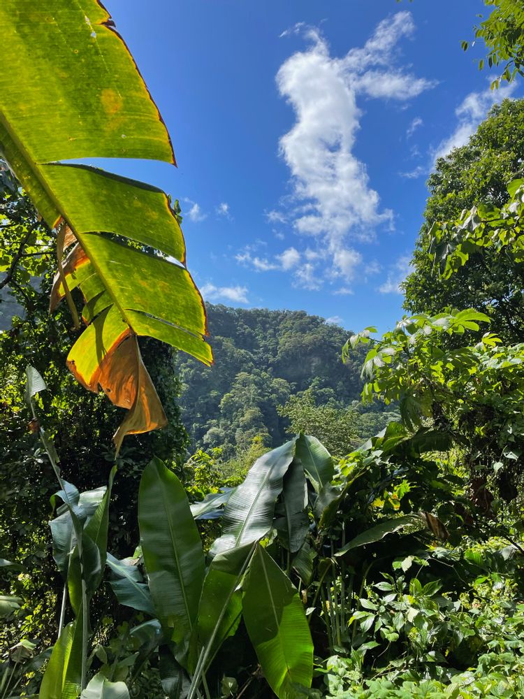 Vue panoramique mer des Caraïbes randonnée Martinique