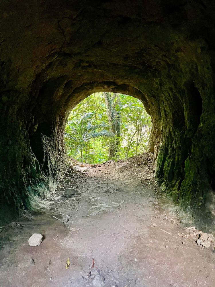 Prêcheur Grand'Rivière Martinique Randonnée