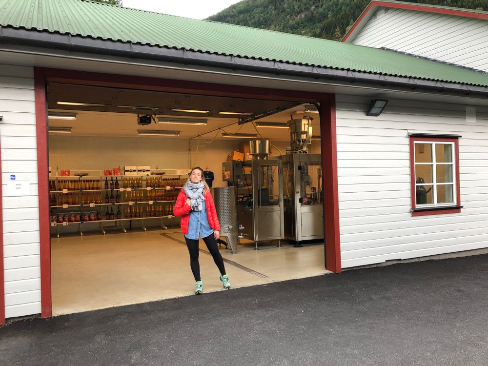 Ulvik cidrerie - Road-trip et itinéraire en Norvège de Bergen à Stavanger