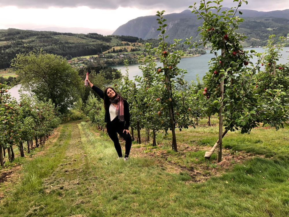 Ulvik - Road-trip et itinéraire en Norvège de Bergen à Stavanger