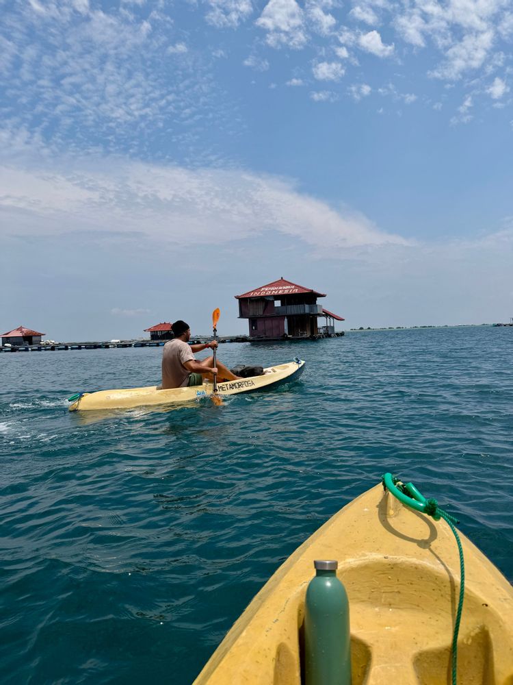 Pemuteran Bali Indonésie Kayak 