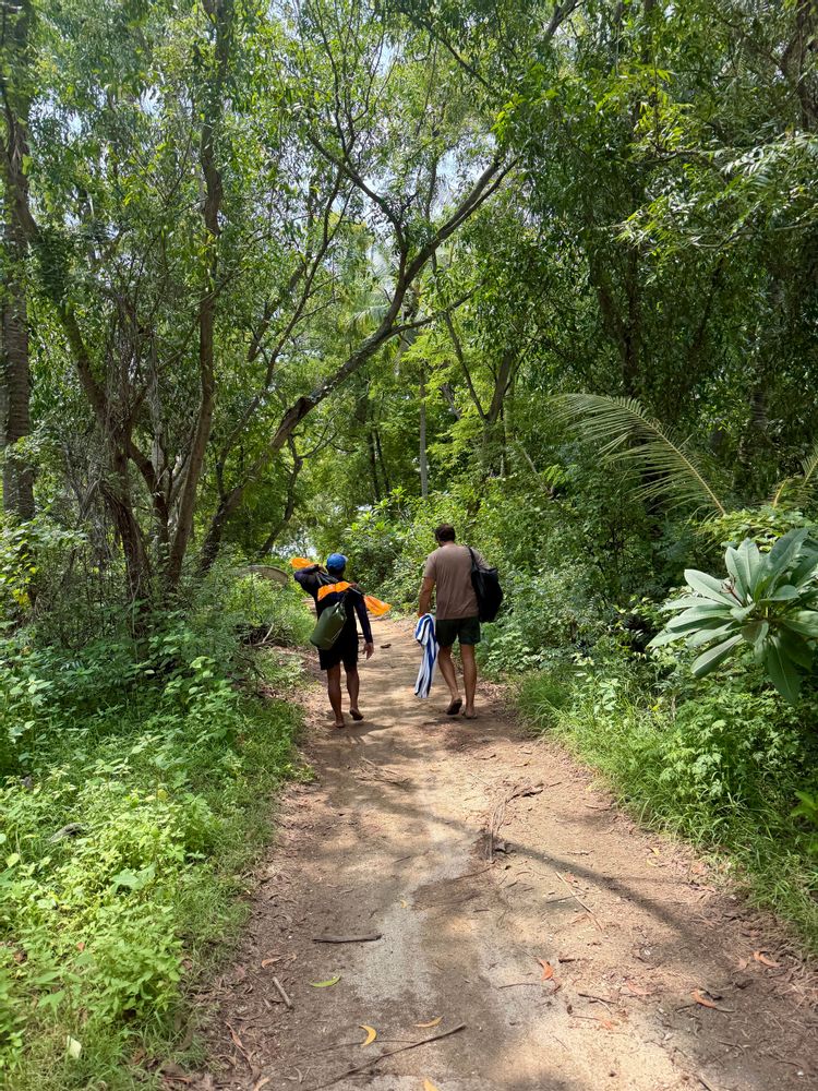 Pemuteran Bali Kayak Randonnée forêt