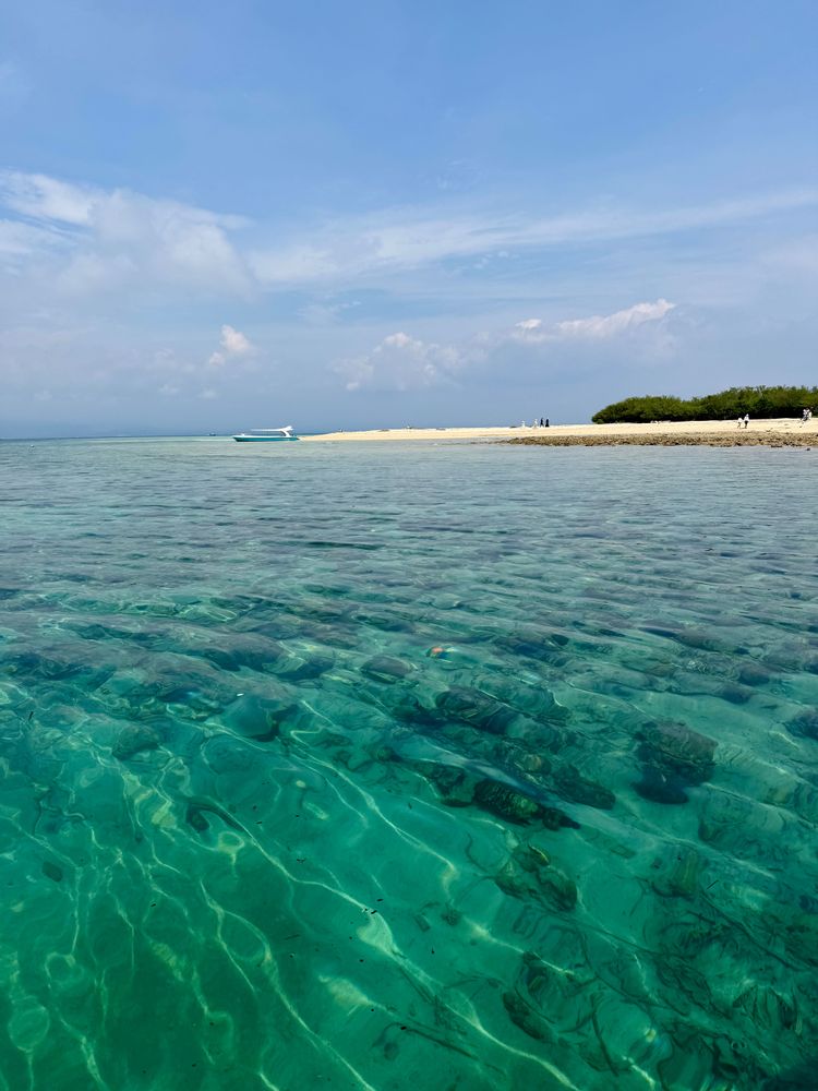 Pemuteran Bali Menjangan Island
