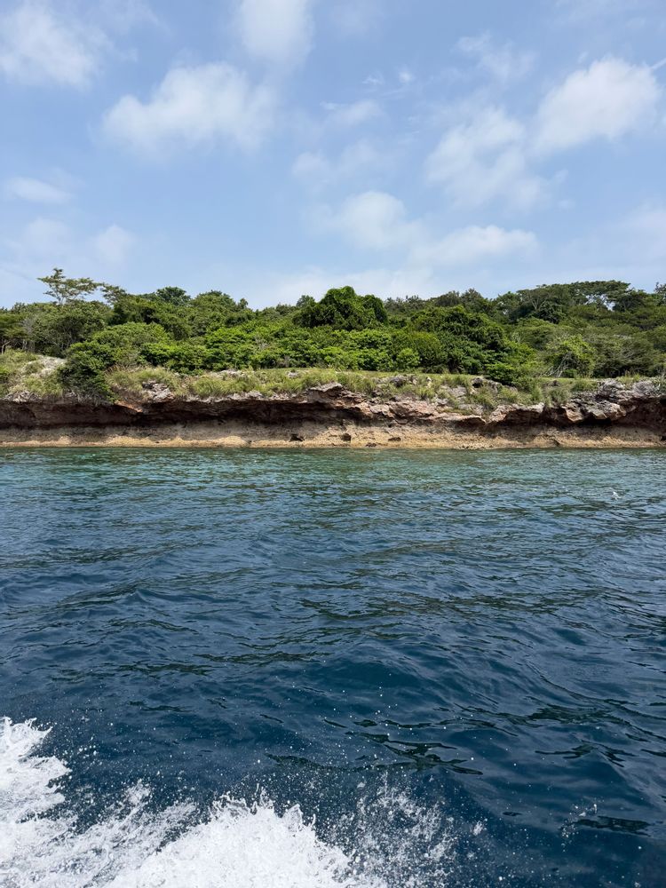 Pemuteran Bali Excursion en bateau Menjangan