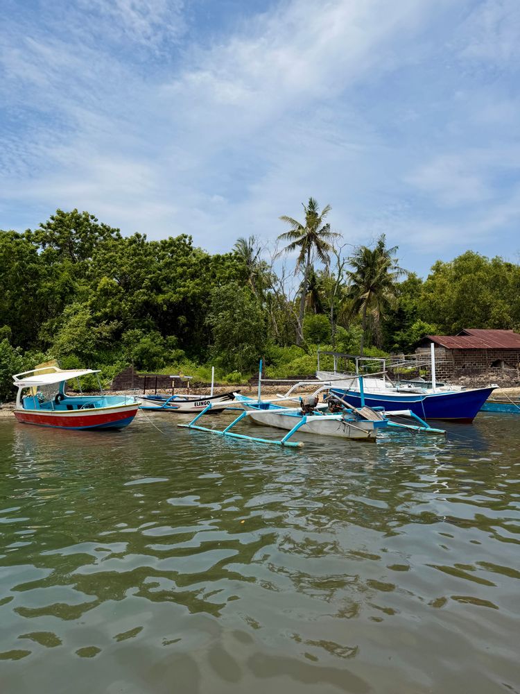 Pemuteran Bali Excursion en bateau Menjangan
