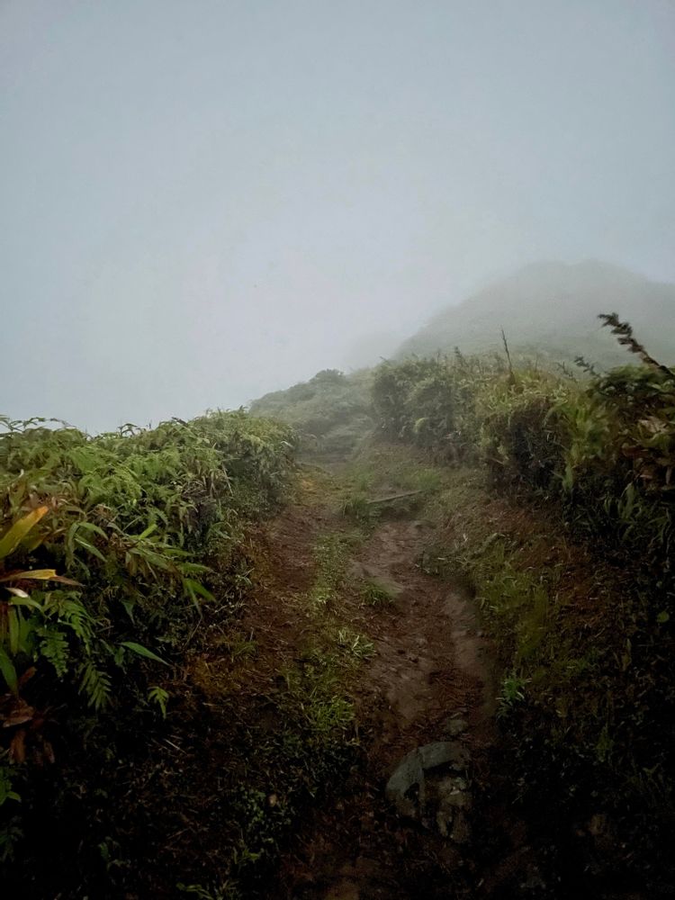 Randonnée Montagne Pelée par l'Aileron Martinique