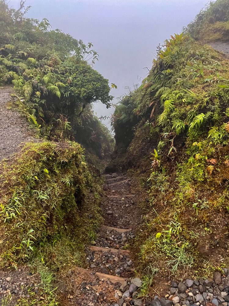 Randonnée Montagne Pelée par l'Aileron Martinique