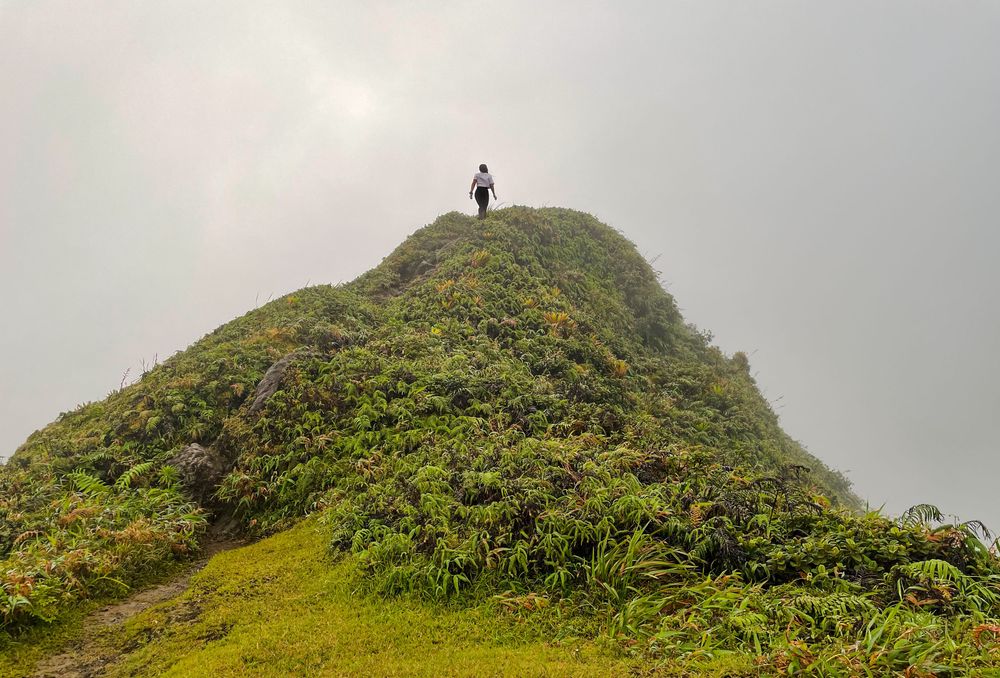 Randonnée Volcan Montagne Pelée par l'Aileron Martinique