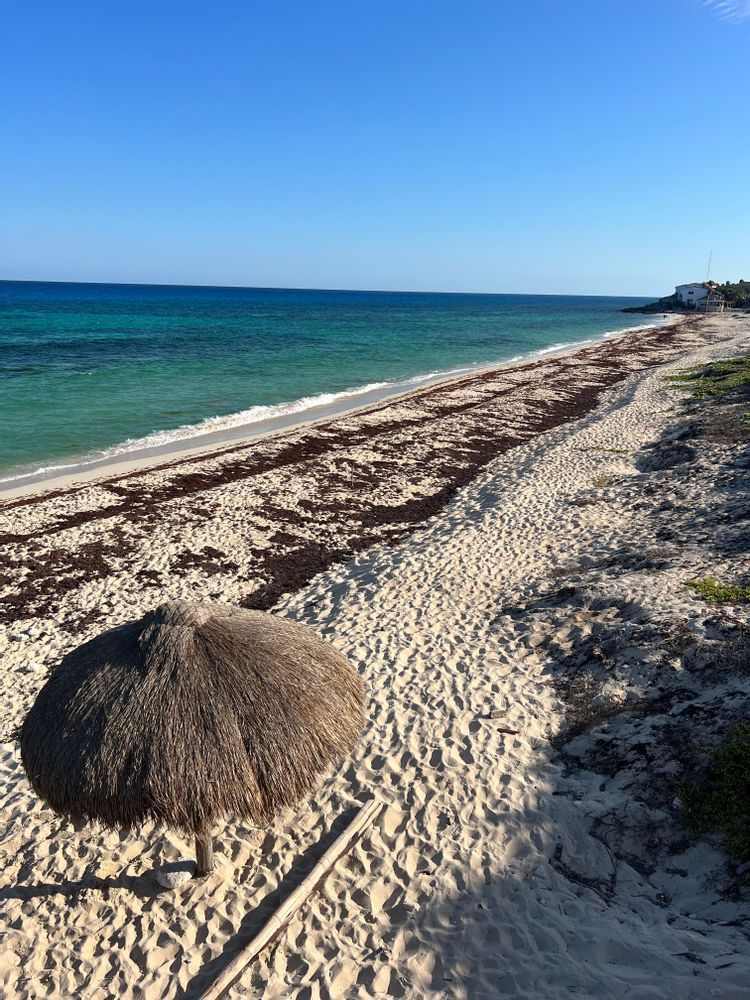 Plage Cozumel Mexique