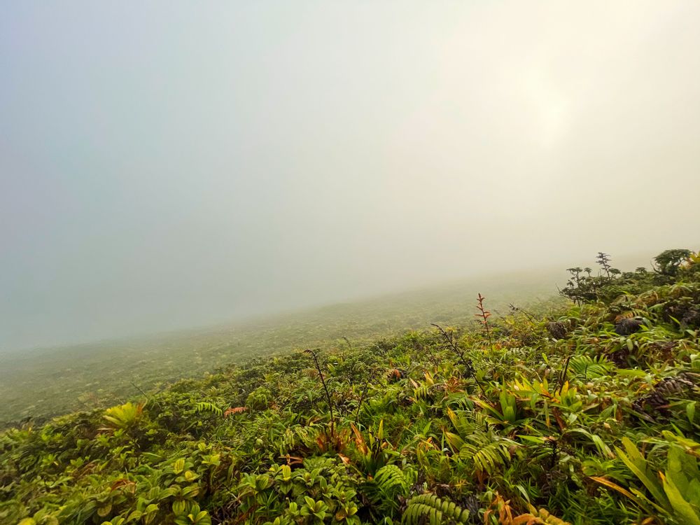 Randonnée Montagne Pelée par l'Aileron Martinique