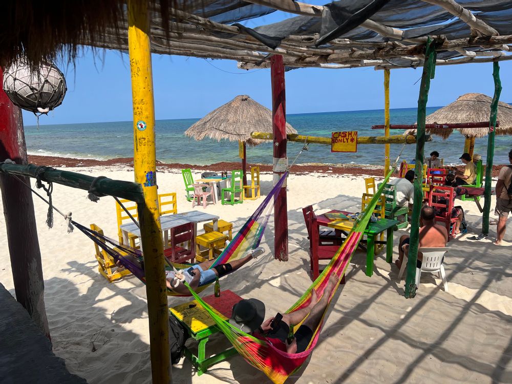 restaurant bob marley cozumel mexique