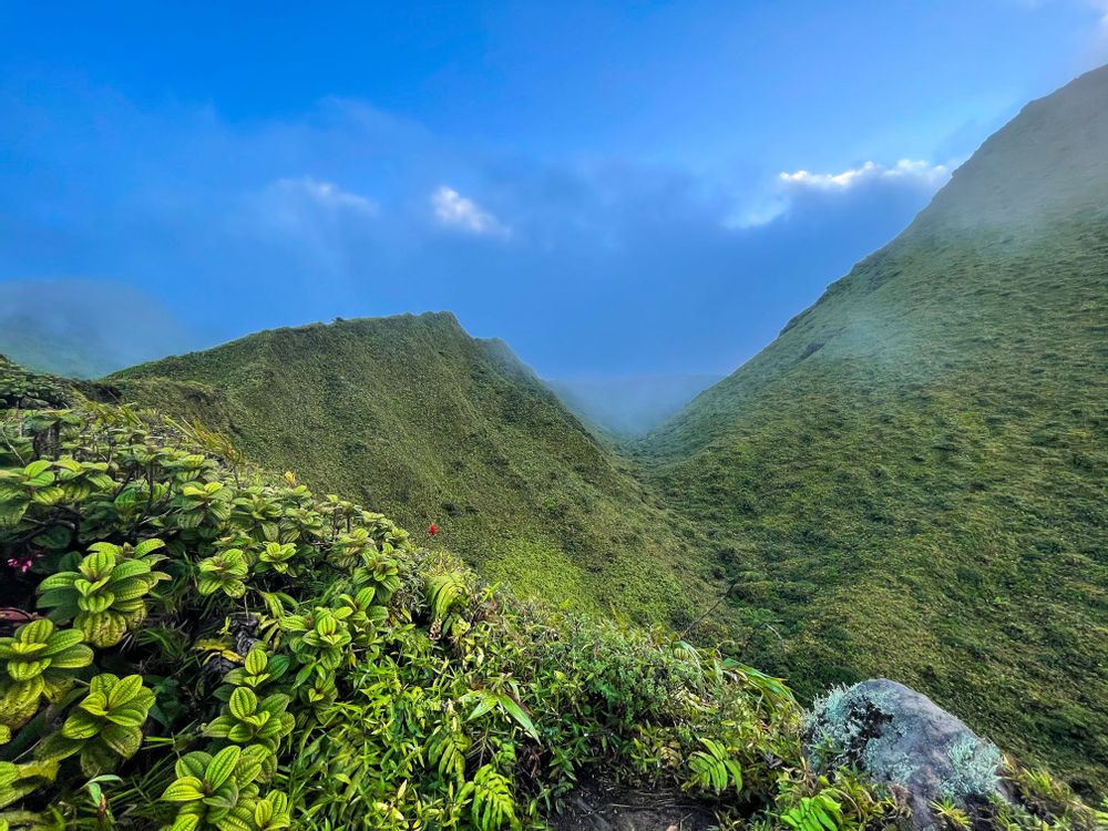 Randonnée Volcan Montagne Pelée par l'Aileron Martinique