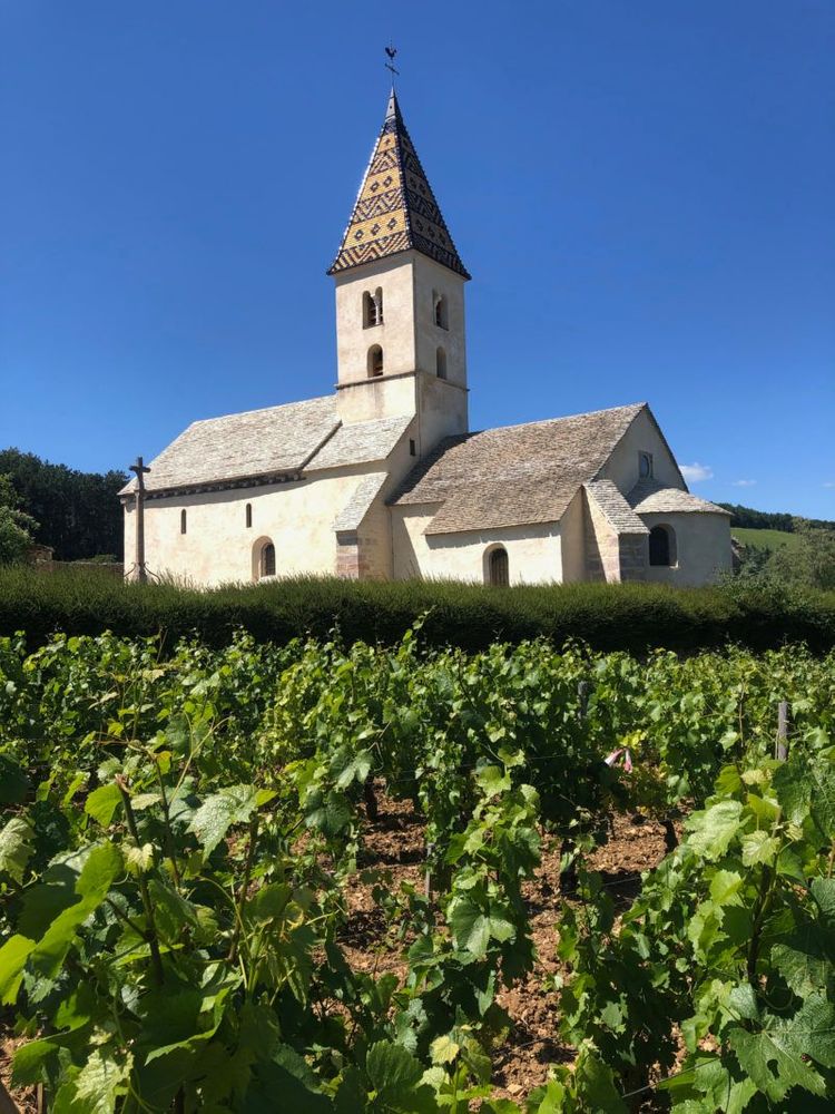 que faire en france bourgogne