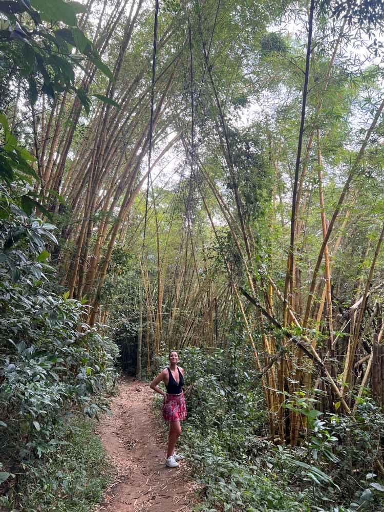 Ilha Grande Brésil randonnée