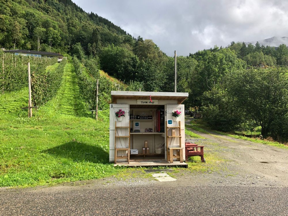 Cabanes fruitères Road-trip et itinéraire en Norvège de Bergen à Stavanger