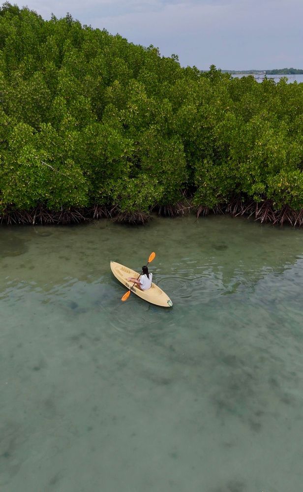 Pemuteran Bali Indonésie Kayak 
