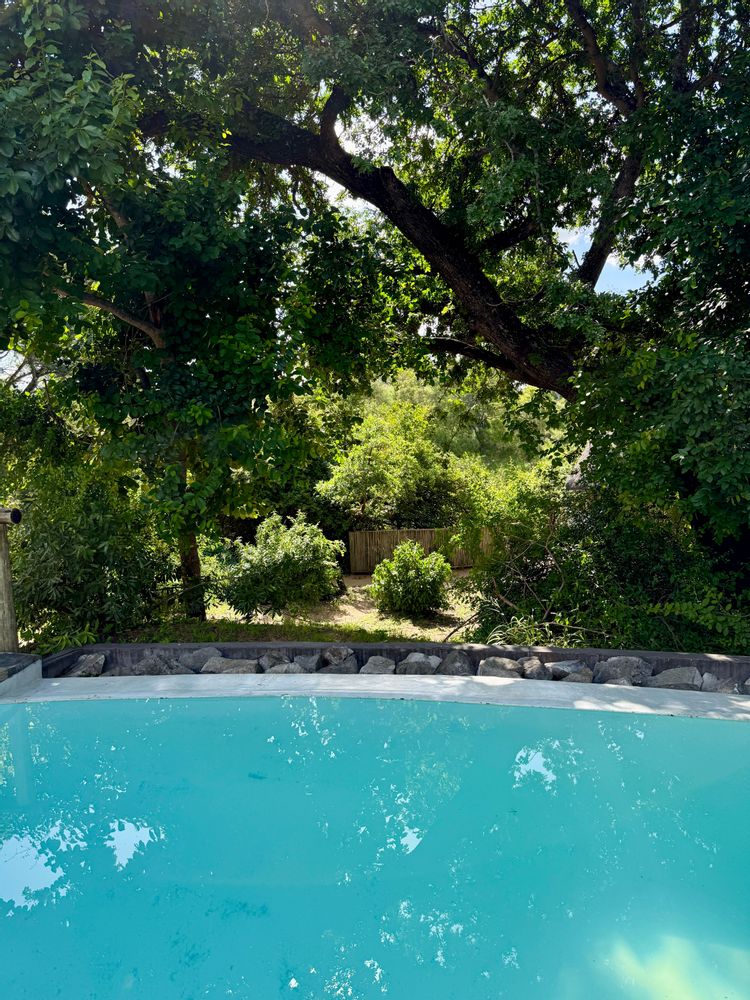 Piscine Rhino Post Safari Lodge