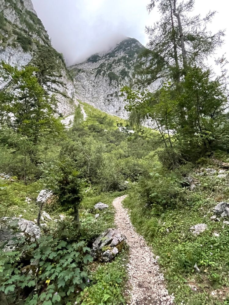 Via Ferrata Donnerkogel Autriche Stairways to Heaven Intersport