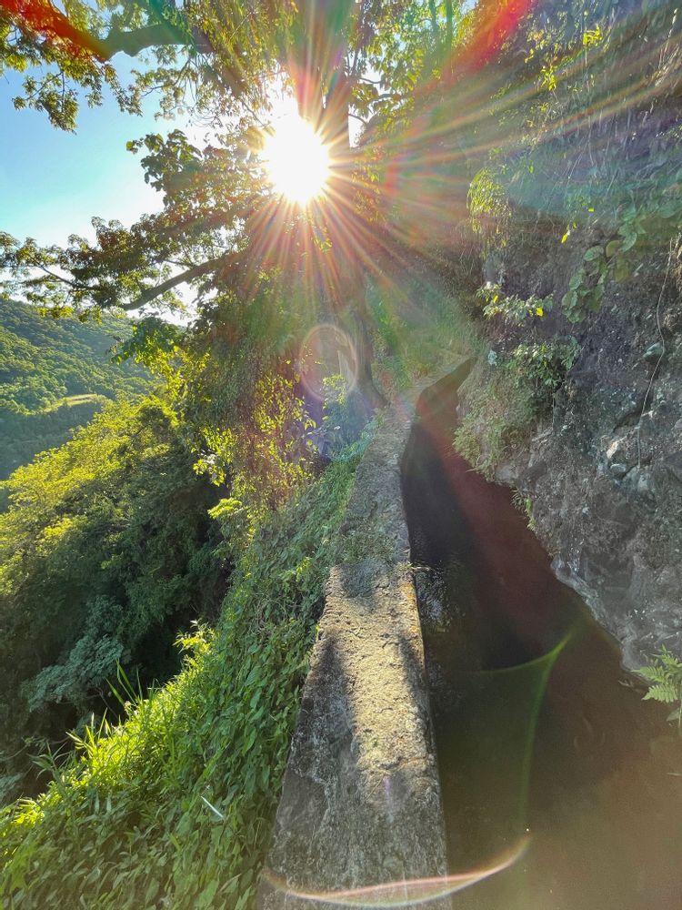 les plus belles randonnées de martinique canal beauregard canal des esclaves