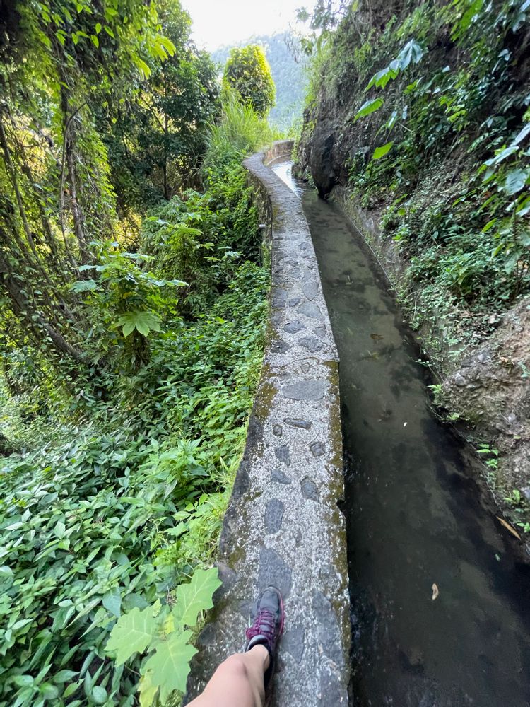 les plus belles randonnées de martinique canal beauregard canal des esclaves