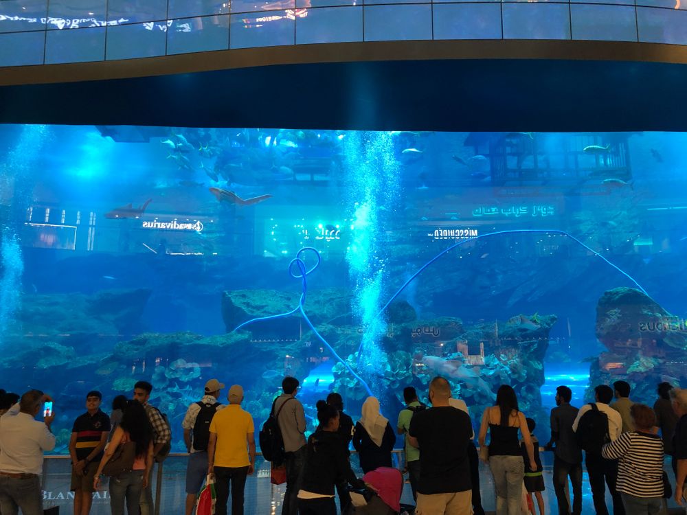Aquarium Dubai Mall 