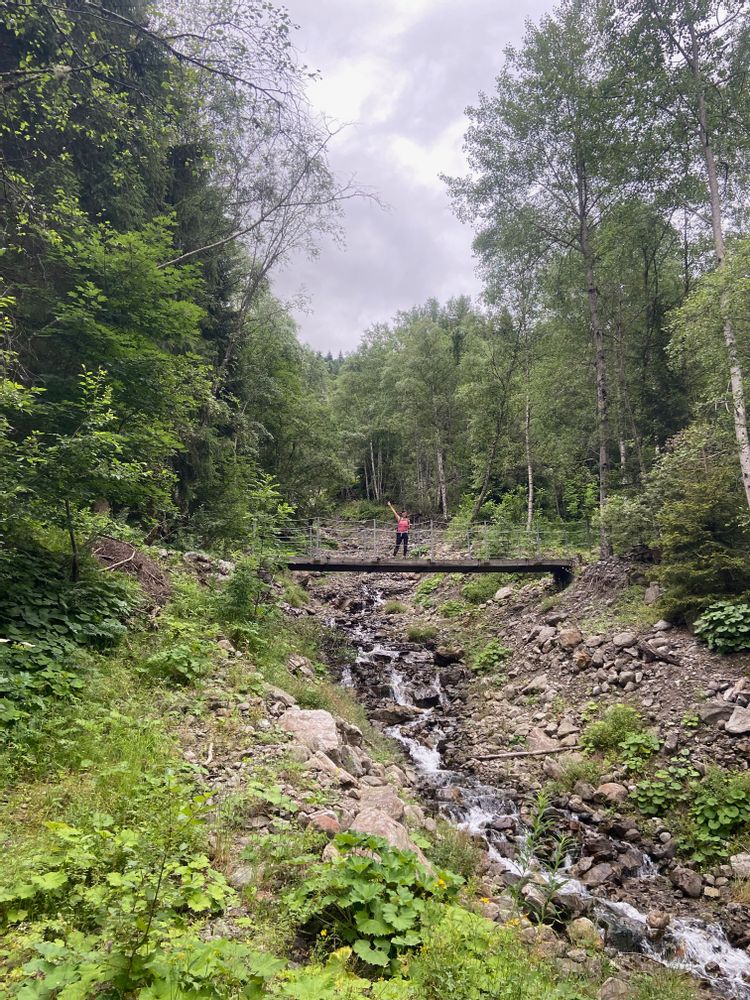 Pont Lac de la Muzelle lac du Lauvitel