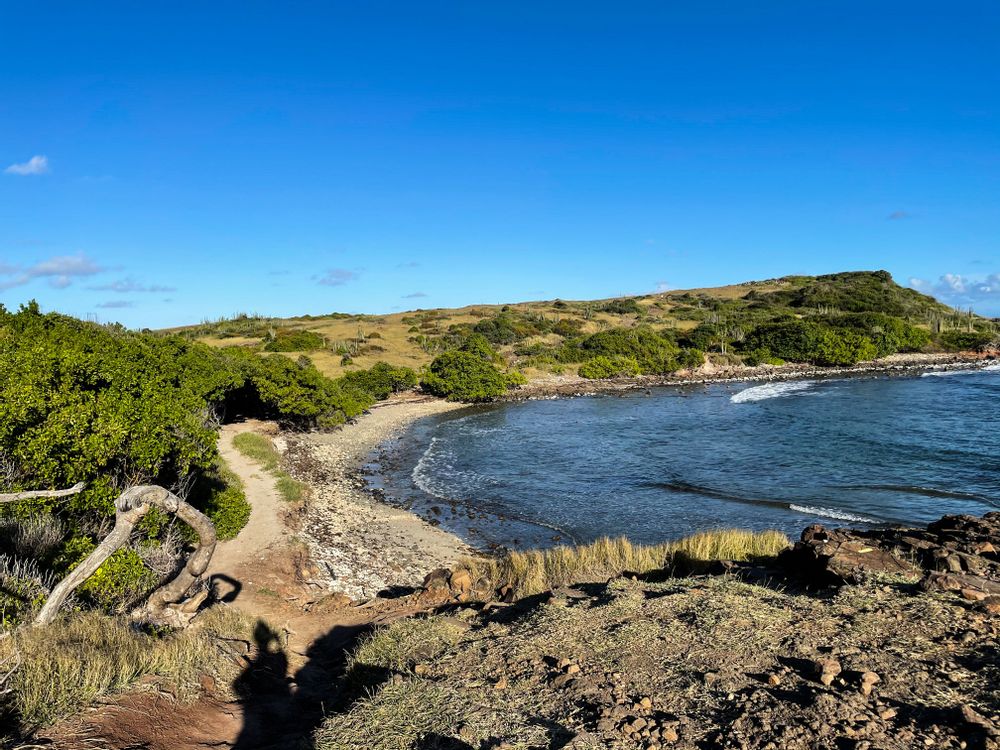 Randonnée savane des pétrifications martinique
