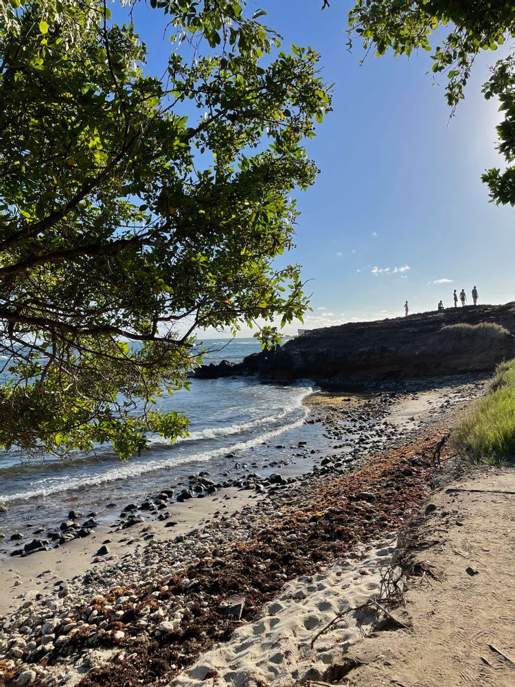 Randonnée savane des pétrifications martinique