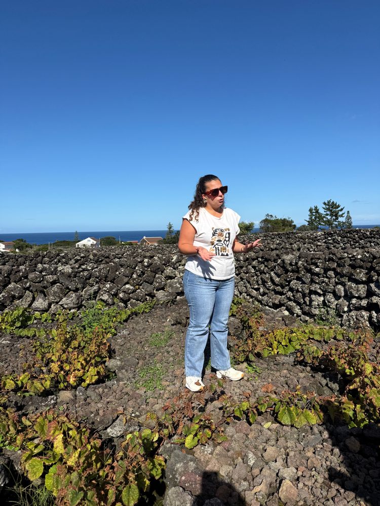 Dégustation de vin Biscoitos Terceira Açores