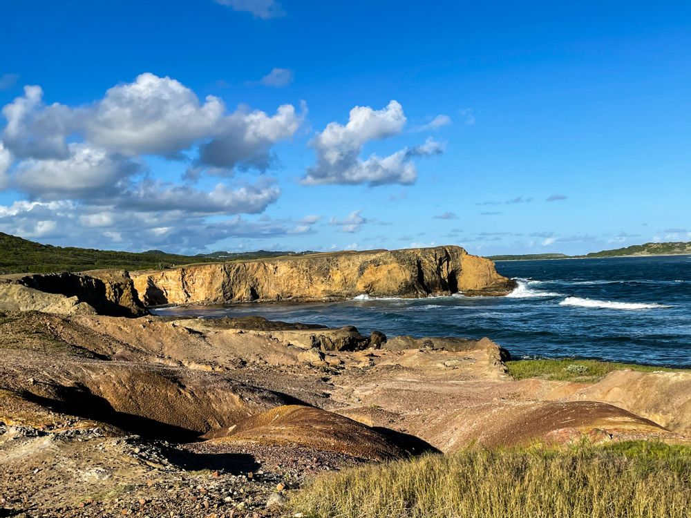 Randonnée savane des pétrifications martinique