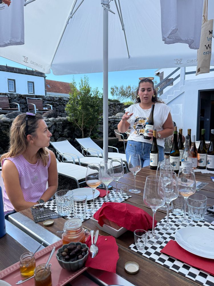 Dégustation de vin Biscoitos Terceira Açores