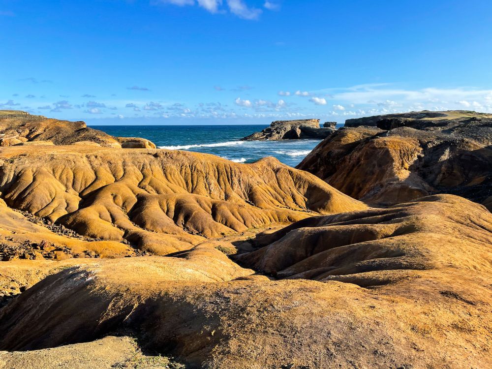 Savane des Pétrifications Martinique