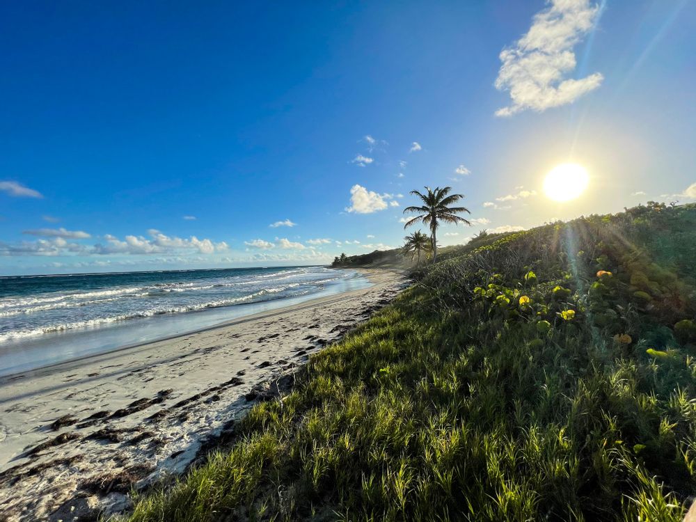 Anse Trabaud Martinique