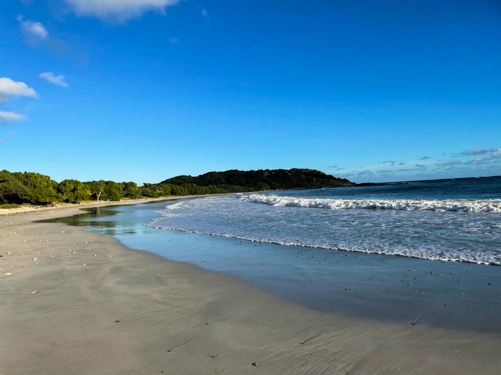 ANSE TRABAUD Randonnée savane des pétrifications Martinique