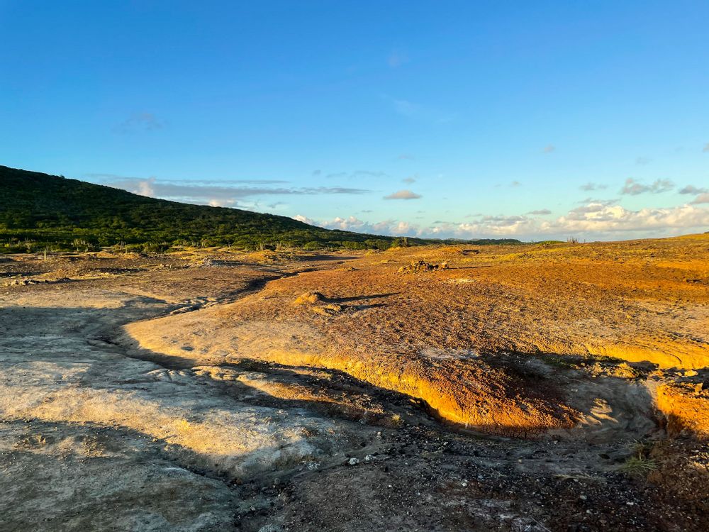 Randonnée savane des pétrifications Martinique