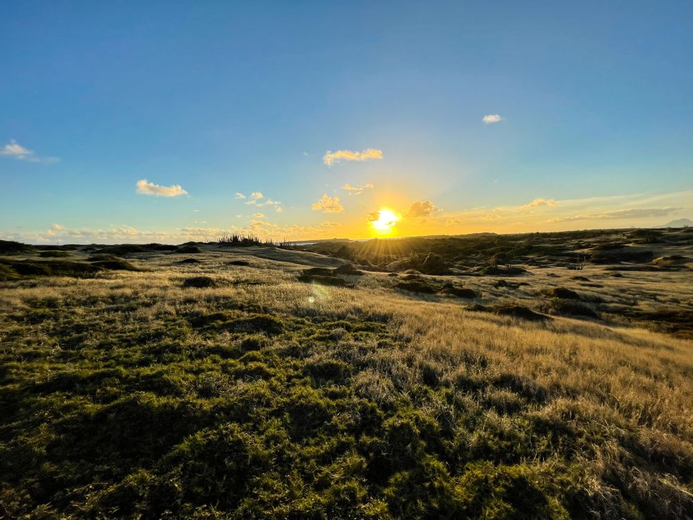 Randonnée savane des pétrifications Martinique
