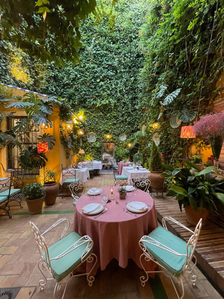 casa manolo leon tapas seville patio