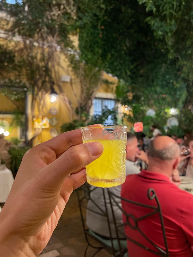 digestif casa manolo leon tapas seville