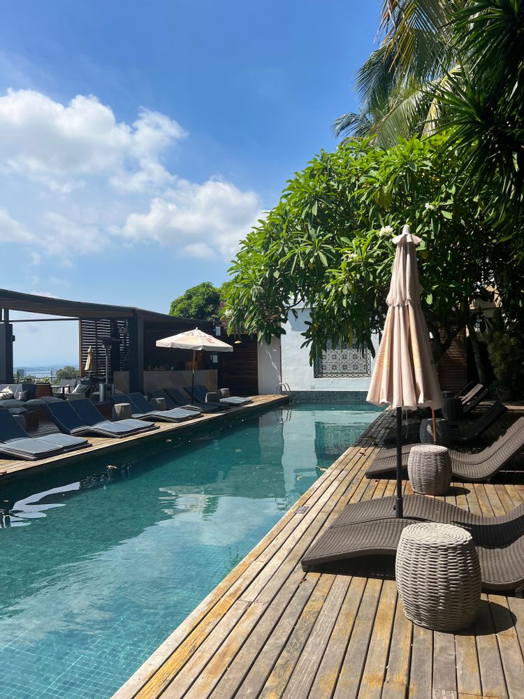 Meilleur restaurant de Rio de Janeiro Brésil Où manger à Rio ? 