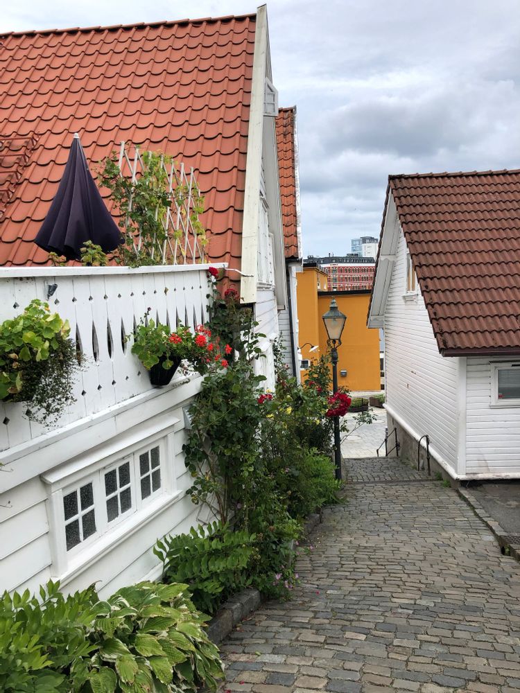 Maisons blanches Bergen Norvège